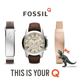 Fossil Q