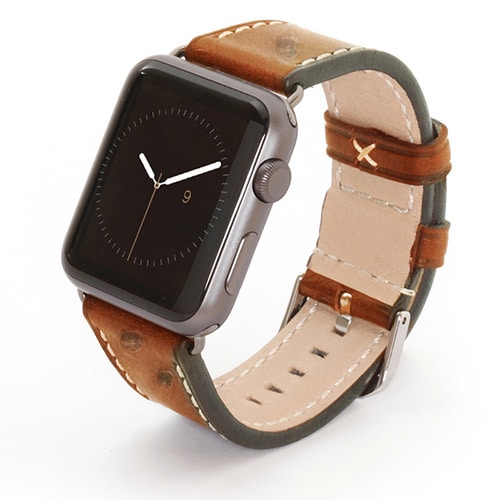 Apple Watch Armband Strauss