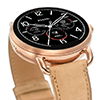 Fossil_Q_Wander